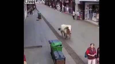 حصان يدهس امرأة في مشهد غريب (فيديو)