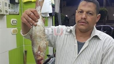 أشهر فسخاني بكفر الشيخ يشرح إزاي تشتري السمك الصحي (صور)
