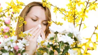 الكركم والزنجبيل لحمايتك من أمراض الربيع