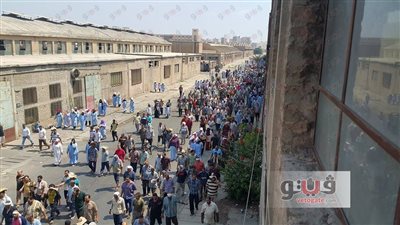 عمال غزل المحلة يطالبون بصرف العلاوة أسوة بباقي الشركات