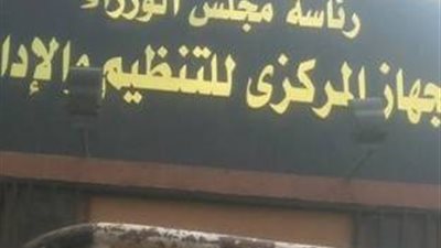 «نوعي التنظيم والإدارة»: بعض الجهات تعاني تكدسا بالموظفين