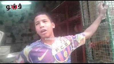 بالفيديو.. استقرار أسعار الدواجن اليوم بالأسواق