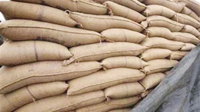 رومانيا: القمح المرفوض تصديره إلى مصر به آثار ضئيلة من «الإرجوت»