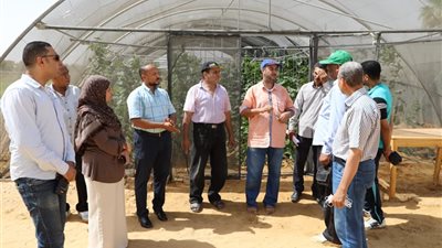 محافظ الوادي يوافق على دخول سيارات الأجرة للخارجة بعد منتصف الليل