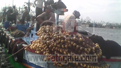 شيخ الصيادين: قراصنة الصومال أفضل من حكومة 