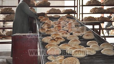 القليوبية تطبق مشروع تحرير الخبز فى 149 مخبزًا