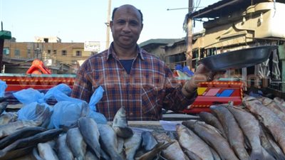 بالفيدو والصور.. سوق الفسيخ بطنطا «الرجل تدب مطرح ما تحب»
