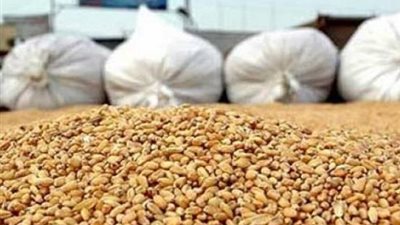 توريد 152 ألف طن لصوامع وشون قنا