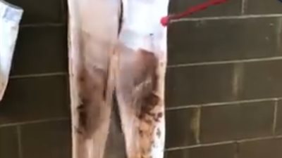 أسرع طريقة للتخلص من البقع الطينية في دقائق (فيديو)