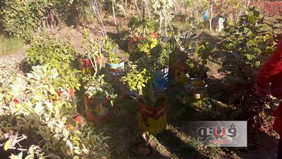 جنايني مشتل ببورسعيد.. أعمال شاقة في حب الزهور