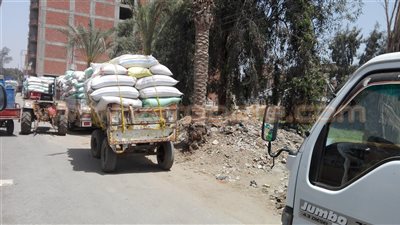 بالصور.. زحام شديد أمام صوامع القمح بشبين الكوم