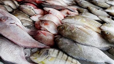 مصدر أمني: حملات مكثفة لضبط الأسماك الفاسدة قبل شم النسيم