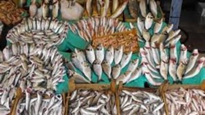 قشر بياض يسجل 21 جنيها بسوق العبور