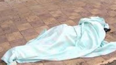 مصرع مزارع صدمته سيارة نقل في القليوبية