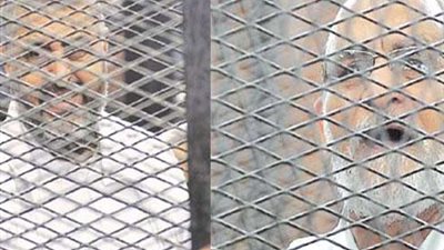 غدًا.. محاكمة «بديع والشاطر» و15 آخرين في «أحداث الإرشاد»