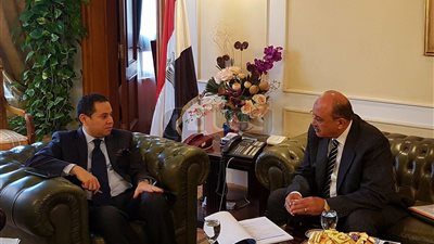 وزير قطاع الأعمال يطالب «القابضة للتشييد» بمراجعة المحفظة الاستثمارية
