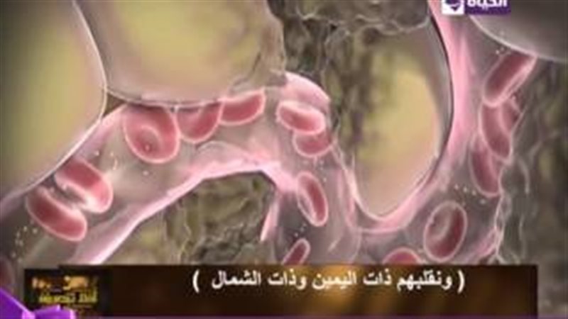 فيتو