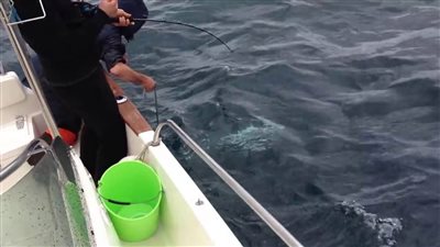 أوروبا تمنع الصيد في أعماق البحار بسفينة «شباك الجر»