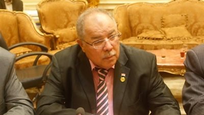 برلماني: الإهمال حرم مصر من التحول لنمر أفريقي في صناعة السيارات