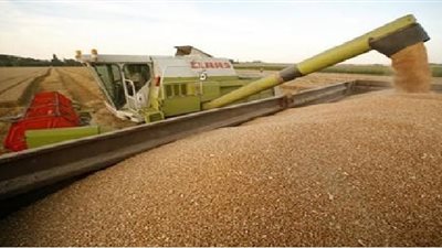 الأردن يطرح مناقصة لشراء 50 ألف طن من القمح الصلد