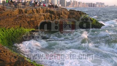 السروجى: صيادو الإسكندرية يعملون سماسرة هجرة غير شرعية