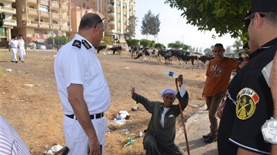 بالصور.. تحصيل غرامة 10 آلاف جنيه من صاحب قطيع مواشي بالإسماعيلية