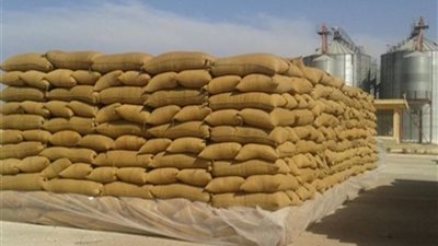 التموين: استلام ٣ ملايين و٣٣٥ طن قمح ورفض ١٩٣٠ طنا بسبب الشوائب