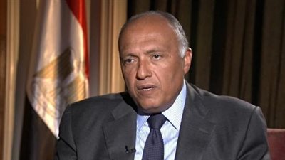 سامح شكري: جامعة الدول العربية كفيلة بدعم القضية الفلسطينية