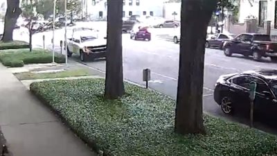 العناية الإلهية تنقذ سائقا سقطت شجرة ضخمة على سيارته (فيديو)