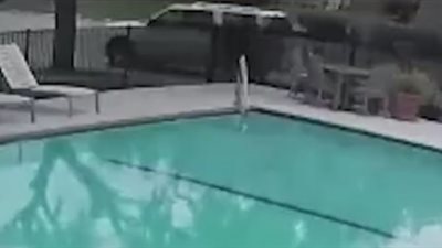 أم تدهس طفلها حتى الموت (فيديو)