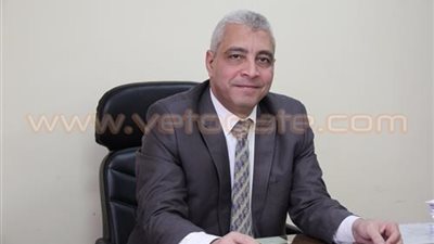 «التضامن»: نهتم بتمكين الشباب للمشاركة في انتخابات المجالس المحلية