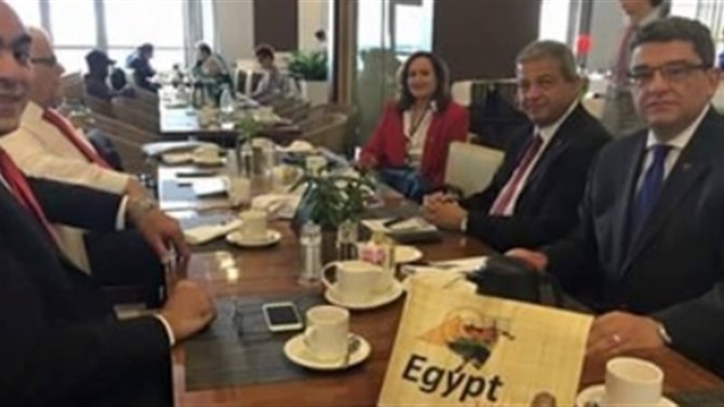 الوفد المصرى