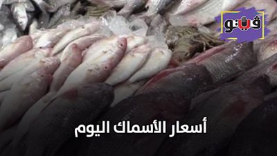 اسعار الأسماك اليوم | تعرف على الأسعار في سوق العبور
