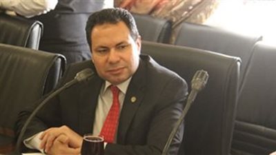 «الحصري» يطالب بتسهيل تملك الأراضي لزيادة الاستثمار الزراعي