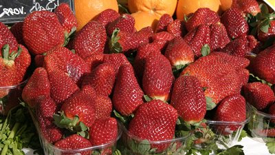 إسبانيا تفشل في التفوق على الفراولة المصرية