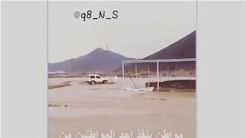 فيتو