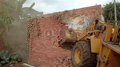 إزالة 123 حالة تعد على أراضي مملوكة للدولة في الدقهلية (صور)