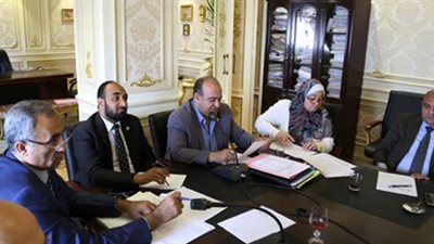 نتائج اجتماع «صحة البرلمان».. شعبة الأدوية: دعم الدواء «ضروري» مثل الخبز.. «العزبي» يطالب بضخ 15 مليار جنيه لتنشيط الصناعة.. والغرفة: تحرير سعر الصرف أثر سلبا على الدواء