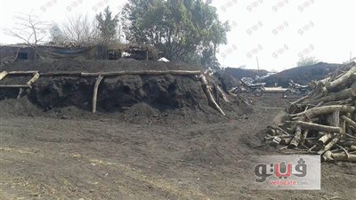 بالصور.. إزالة 125 مكمورة فحم مخالفة في القليوبية