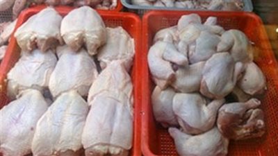 شعبة الثروة الداجنة: 1.6 مليون جنيه تكلفة 100 ألف بطة أعدمت