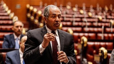 نائب حماة الوطن: وزير الزراعة على قائمة استجوابات مجلس النواب