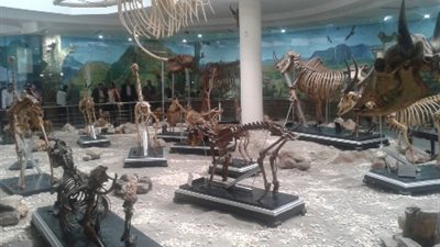 مظاهر اختلاف «عيد فطر 2016» عن الأعوام السابقة.. فتح المتحف الحيواني يالجيزة لأول مرة.. أهالي الشيخ زويد يؤدون صلاة العيد.. السنة والشيعة في العراق يحتفلون في يوم واحد.. وبشار يفاجئ الجميع ب