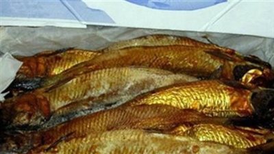 إحباط بيع 28 طن رنجة فاسدة للمواطنين بالمحافظات