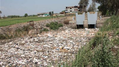 بالفيديو والصور.. جفاف الترع وانتشار ورد النيل كارثة تهدد مزارعي الدقهلية