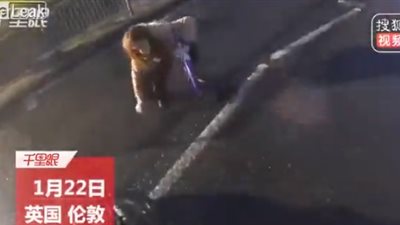 العناية الإلهية تنقذ امرأة تعرضت للدهس لحظة عبورها الطريق (فيديو)