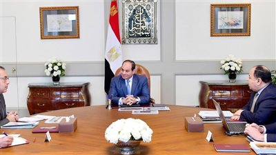 معيط: بشائر خير بالأداء المالي من يوليو إلى نوفمبر 2019