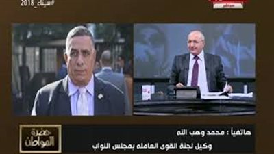 برلماني: التأمين على مليون عامل غير منتظم (فيديو)