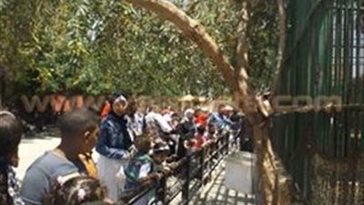 بالصور.. حديقة حيوان الإسكندرية تستقبل زوارها للاحتفال بالعيد