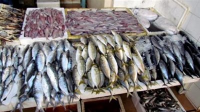 ارتفاع أسعار الأسماك.. واستقرار اللحوم