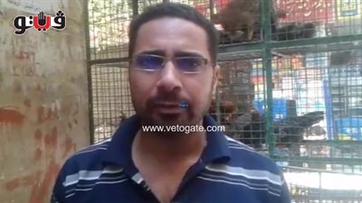 بالفيديو.. الدجاج الأبيض يسجل 27.5 جنيها بالأسواق